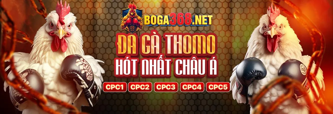 Chính sách cờ bạc có trách nhiệm của 58m