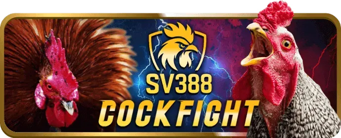 Ưu đãi chào mừng 58m
